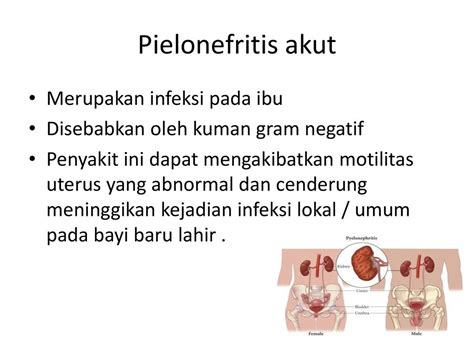 Gambar pencegahan penyakit dan vaksinasi Pielonefritis Akut pada Orang Lanjut Usia